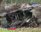 Катастрофа Ту-134: ребенка не спасли